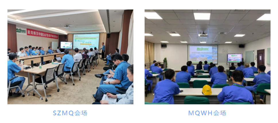 云端大有为 变局中前进 | 麦克维尔&普菲特 SAP升级上云项目正式启动