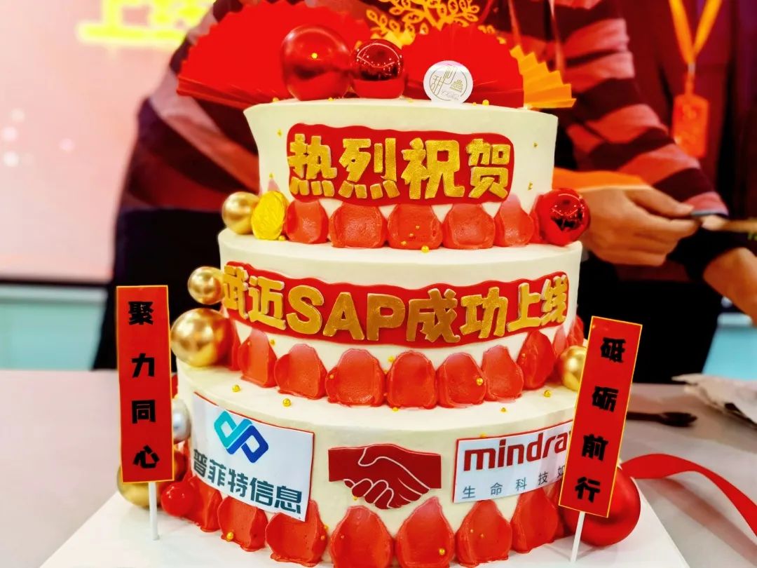 普菲特信息｜热烈祝贺武汉迈瑞SAP实施项目成功上线