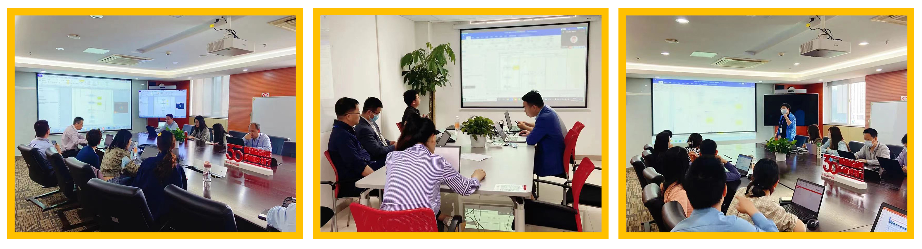 普菲特信息｜热烈祝贺武汉迈瑞SAP实施项目成功上线