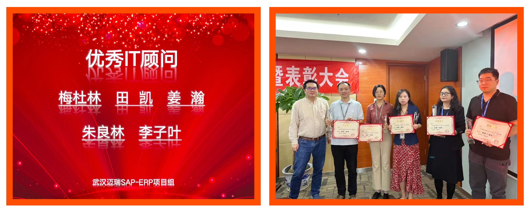 普菲特信息｜热烈祝贺武汉迈瑞SAP实施项目成功上线