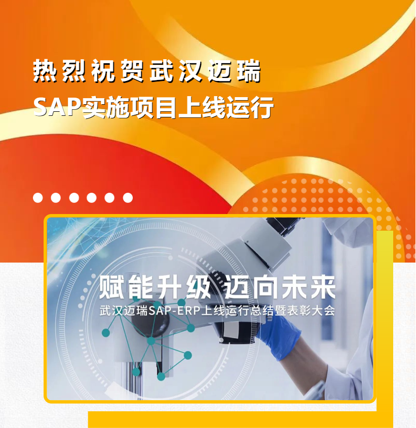 普菲特信息｜热烈祝贺武汉迈瑞SAP实施项目成功上线