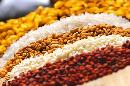 普菲特信息｜五粮液人力资源管理系统二期项目启动会圆满举行